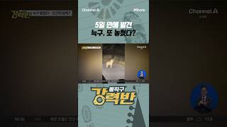 [강력반] 5일 만에 발견 늑구, 또 놓쳤다? #채널A #shorts #김진의돌직구쇼 #사건 #사고 #대전 #오월드 #동물원 #탈출 #늑대 #늑구 #발견 #야산