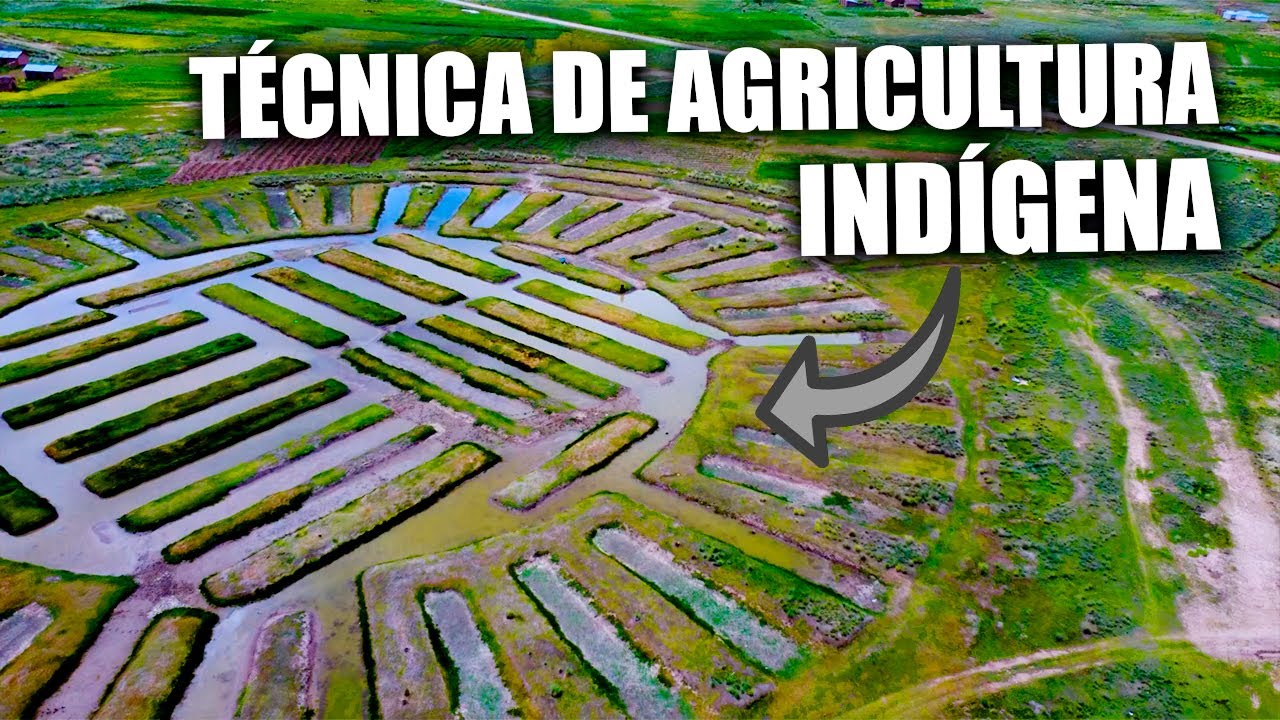 MISTERIOSAS Formaciones en Puno PERÚ| Waru Waru y Templo de la Fertilidad