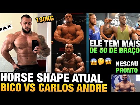 HORSE ESTÁ GIGANTE - BICO VS CARLOS PELO PRO CARD - MEDIDAS DO DINO FRANCÊS E MAIS