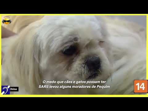 Tv Educativa Cortes Netflix Explicando A Próxima Pandemia Dublado e com Legendas Surdez Hipoacusia  Corte 10