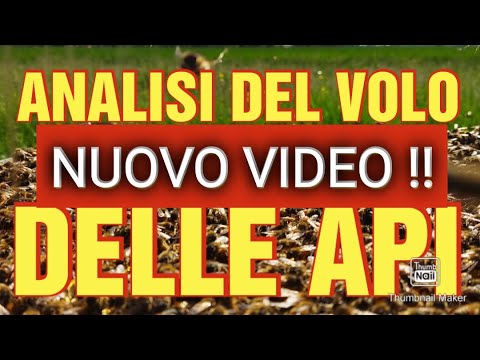 Apicoltura cd: Analisi volo delle api, Aggiornamento.