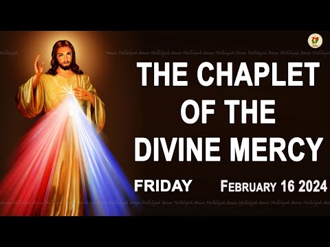 Chaplet of the Divine Mercy I Friday February 16 2024 I Divine Mercy Prayer I 12.00 PM