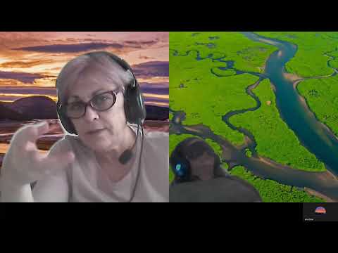 HIPNOZA REGRESIVA.RO-1642.Anca,proiect de fragm sufl.si Insufletire avatare draco E.LASCU si ELA