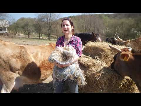 Mumínci a pořádný balík sena