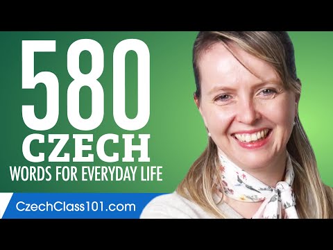 580 Czech Words for Everyday Life - Basic Vocabulary #29
