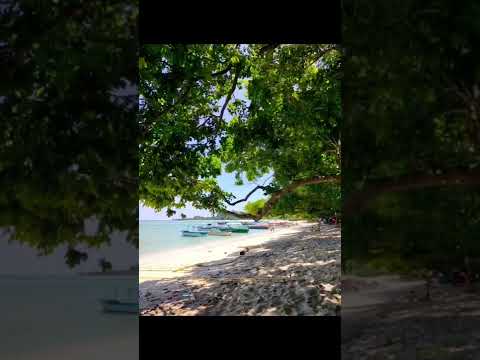 ANDAMAN IN 15SEC |LIGHTHOUSE|NATURAL BRIDGE|BEACH|CELLULAR JAIL|#ytshorts  #youtube  #youtubeshorts