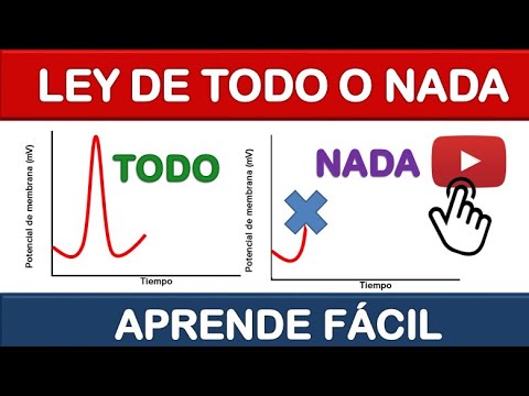 LEY DE TODO O NADA - POTENCIAL DE ACCIÓN ¡FÁCIL EXPLICACIÓN! #6