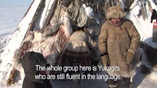 Voices from the Tundra