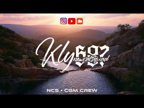 STEEVE WEST - NO FRIEND INDUSTRY DECK 2021