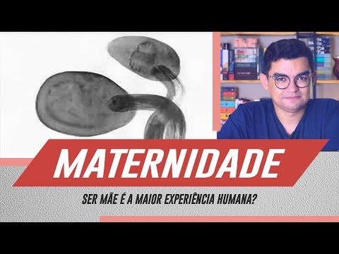 Maternidade (Sheila Heti) - Ser mãe é a maior experiência humana?