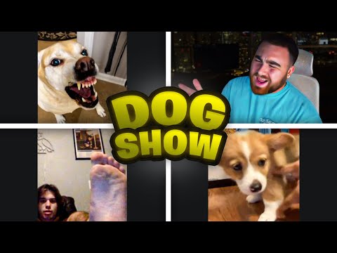 LosPollosTV Hosted A Dog Show In Discord And It Was Hilarious 😂