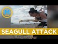 Woman Holding Snacks Gets Chased By Birds At A Beach Your Morning
