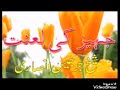 Maulana Jarjis Chaturvedi Old Is Gold Taqrir Nohar