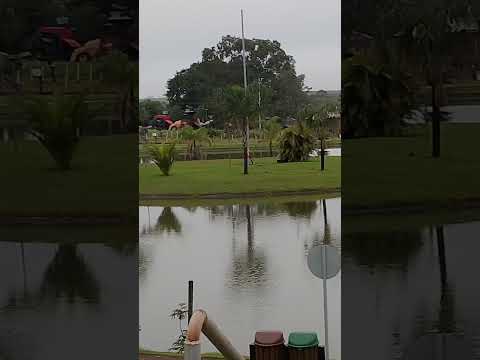 lago municipal de Missal PR!!! lugar maravilhoso pra trazer a família!!!