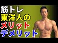 東洋人・日本人は筋肉つきにくい?良いこともあるんです!中年・日本人こそ筋トレを!