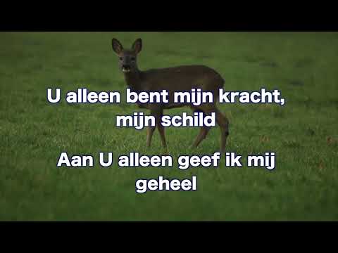 Opwekking 281 Als een hert 1B