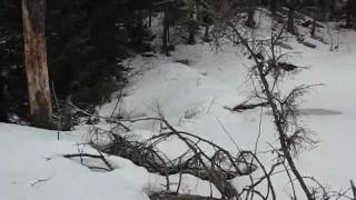 Lake to Lake Snowshoe Hike Solo - Part 2