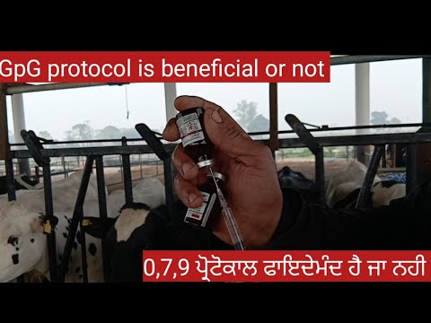  079 GpG protocol complete details 