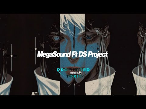 Discokontakt 24 - Fedde Le Grand feat DI-Rect - Where We Belong (MegaSound Ft. D&S Project Remix)