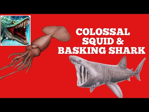 Dino Water World Colossal Squid & Basking Shark