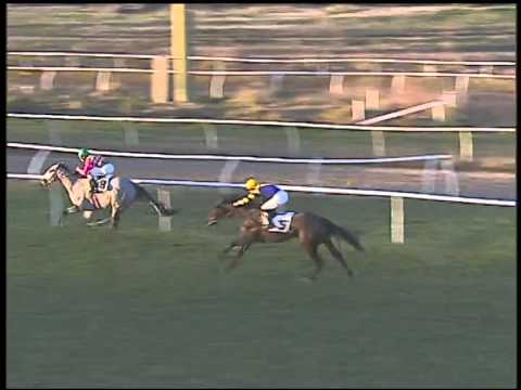 Galoppo 10/02/2015 - 4° corsa