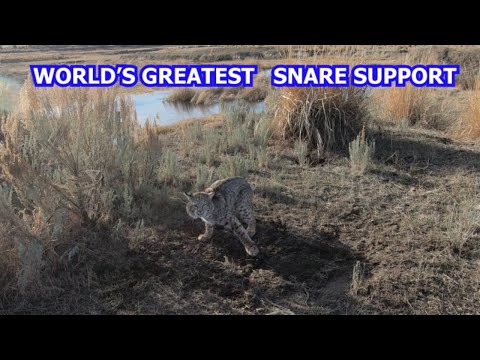 TRAPPING TIPS- Worlds Greatest Snare Support Sytem