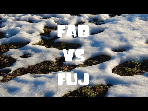 SEMIFINAL: FAB vs FUJ