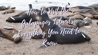 How to Visit the Galapagos Islands-Everything You Need to Know