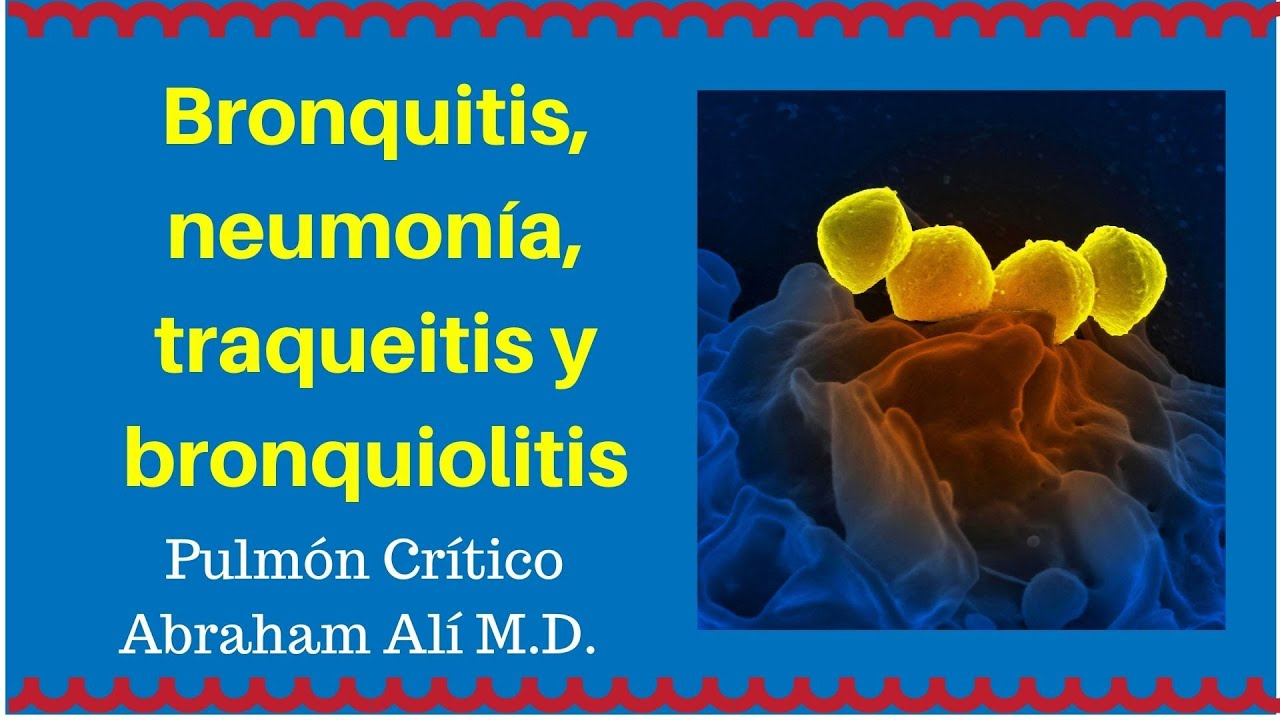 Traqueitis, bronquitis, bronquiolitis y neumonía