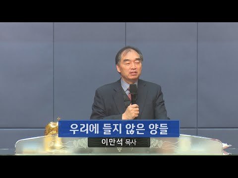 우리에 들지 않은 양들 사진