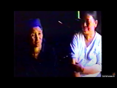 Mus Saib Qub Teb Chaws 1993 Thawj Xyoo Nplog Qhib Rau Neeg Ntiaj Teb Mus Ncig