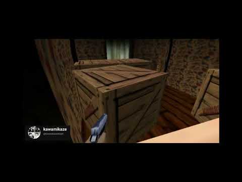 Semi-traversable pallets for a future labyrinth with also classic pallets