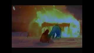 2008 11 29 12 31 46 asian nightmare