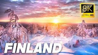 FINLAND: The Enchanted Forests 8K VIDEO ULTRA HD #8K