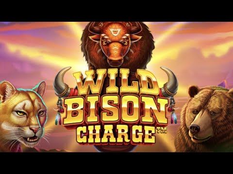 Wild Bison Charge gameplay video