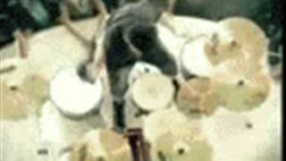 Too Happy to be Alive HIM