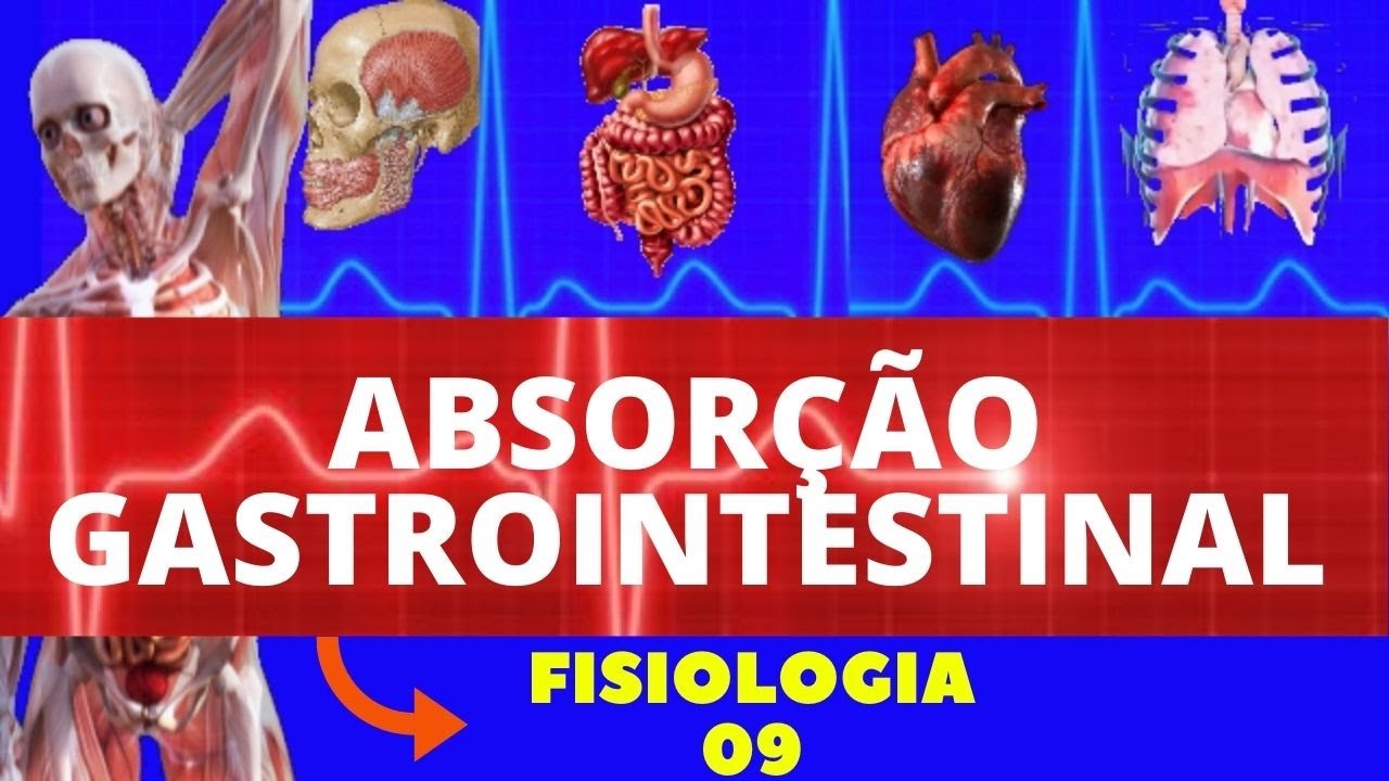 ABSORÇÃO GASTROINTESTINAL (FISIOLOGIA HUMANA) - INTESTINO DELGADO - SISTEMA DIGESTÓRIO
