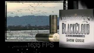 Black Cloud Snow Goose - CheaperThanDirt