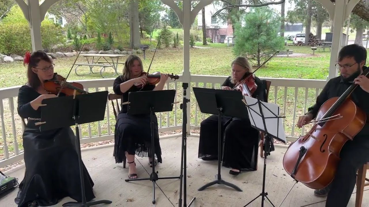 Promotional video thumbnail 1 for Resonant Strings