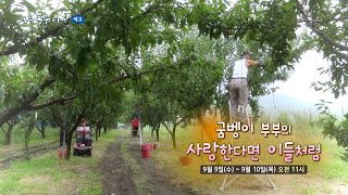 [나는 농부다 예고] 굼벵이 부부의 사랑한다면 이들처럼