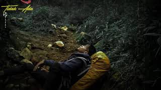 Download lagu story wa - Selimut biru versi 'wangse' mp3