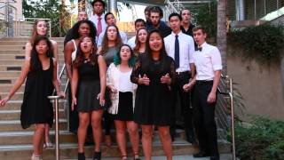 Pretty Hurts (opb. Beyonce) - The Beat @ UCSD (a cappella cover)