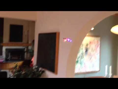 ProtoX Nano mini quad test 1