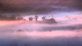 Trafik - Echoes (Petter Slow Dub)