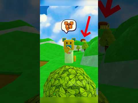 Edge House Mystery Super Bear Adventure #superbearadventure