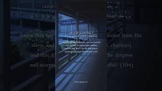 حالات واتس صلاح الباجي
