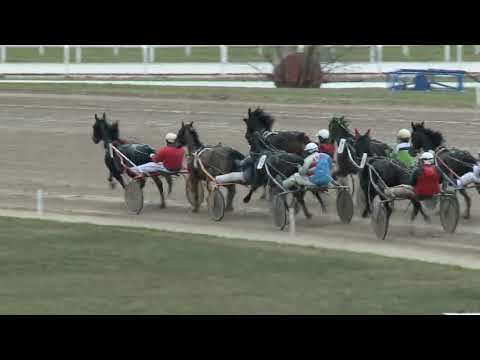 2018.03.31 4 futam Ügető