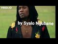 Ithwasa Lami Syabadudula Lonakele Izwe Album
