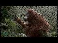 ঝিমিত ঝিমিত জুনি জ্বলে Jhimit Jhimit Juni Jwole Chakma Song