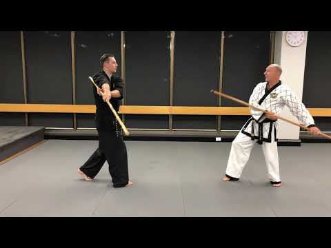 <h3>AHA Second Dan Black Belt Pole (Jangbon) 1-step sparring</h3>